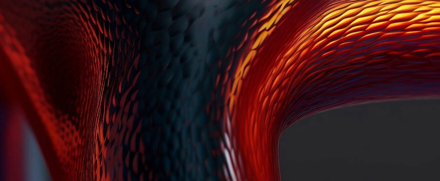 portfolio2
